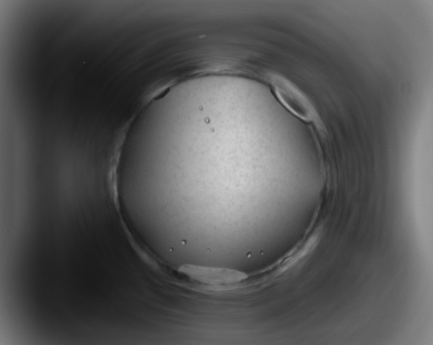 X0000087611433200705181247