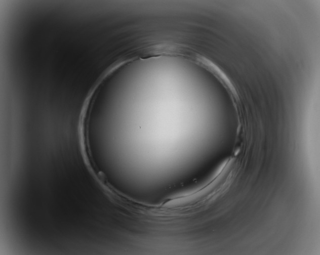 X0000087611434200705181247