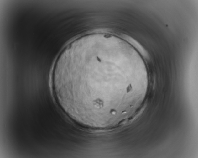 X0000087611436200705181247