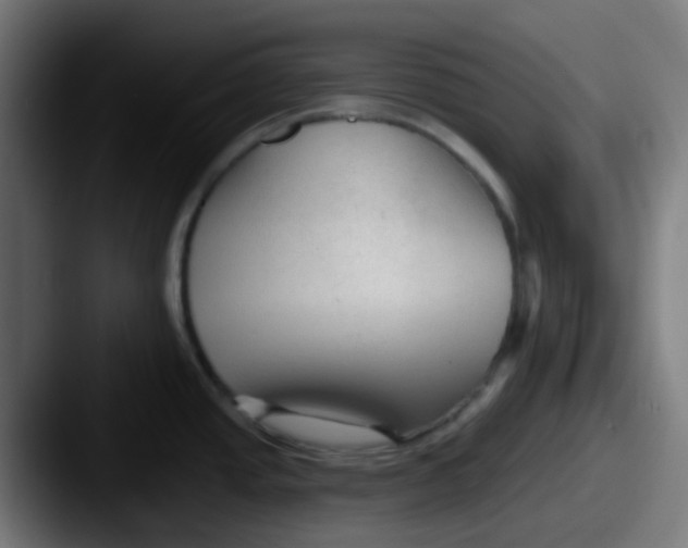 X0000087611437200705181247