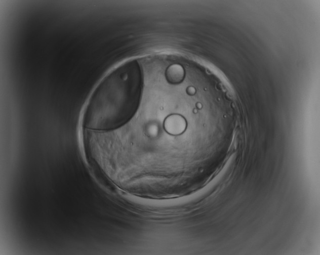 X0000087611439200705181247