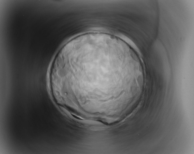 X0000087611440200705181247
