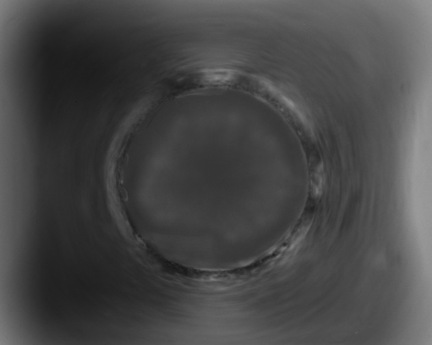 X0000087611441200705181247