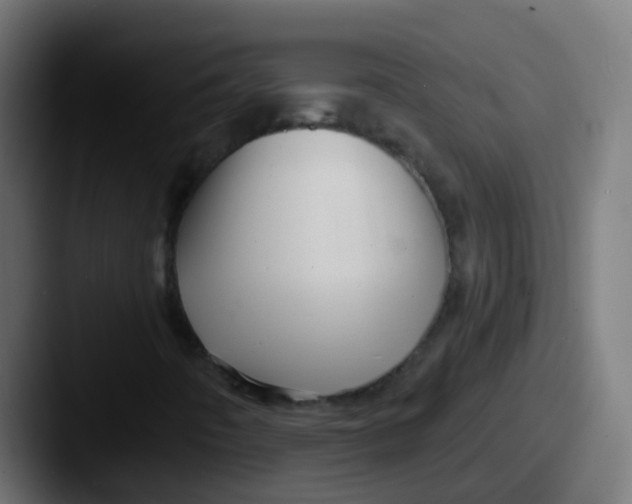 X0000087611442200705181247
