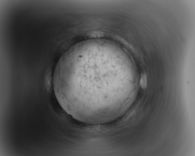X0000087611444200705181247