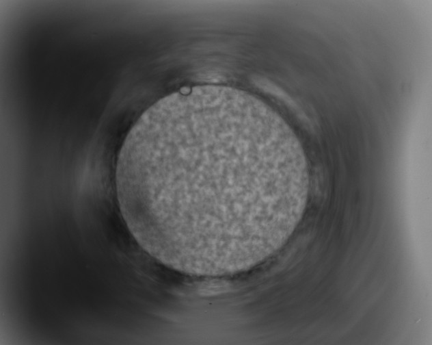 X0000087611446200705181247