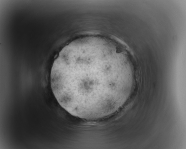 X0000087611448200705181246