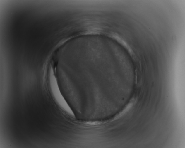 X0000087611453200705181246