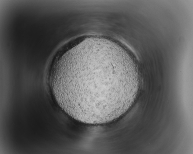 X0000087611454200705181246