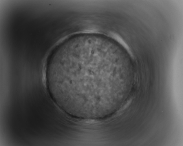 X0000087611456200705181246