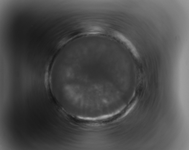 X0000087611457200705181246