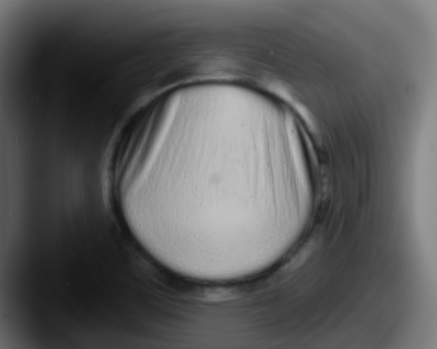 X0000087611459200705181246