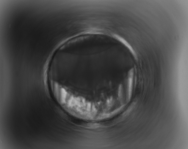 X0000087611463200705181246