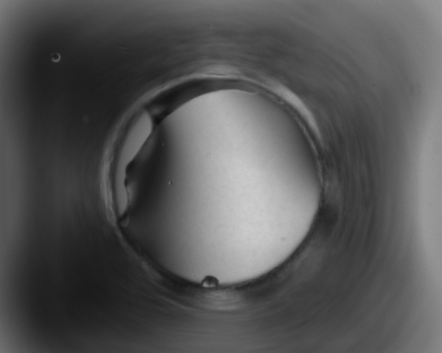 X0000087611464200705181246