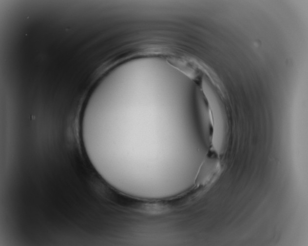X0000087611465200705181246