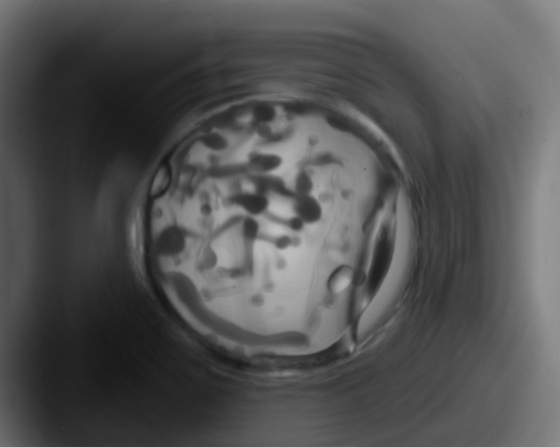 X0000087611467200705181246