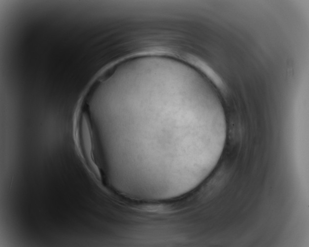 X0000087611468200705181246