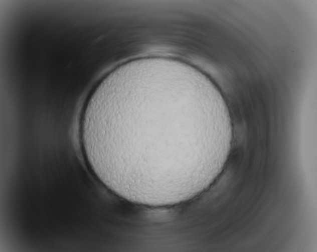 X0000087611470200705181246