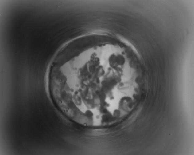 X0000087611471200705181246