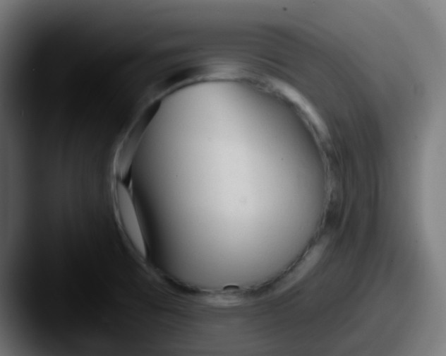 X0000087611473200705181246