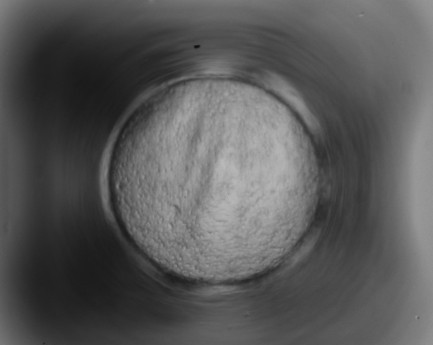 X0000087611475200705181246