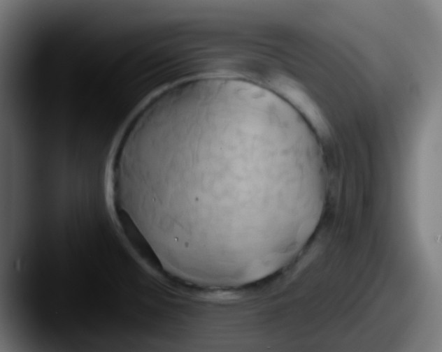 X0000087611476200705181246