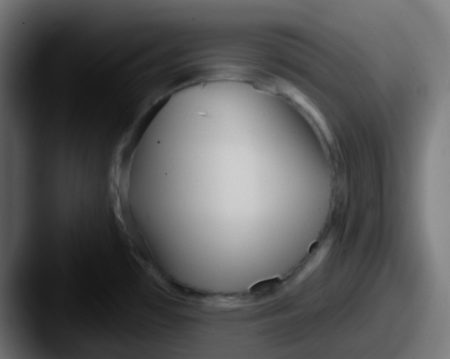 X0000087611481200705181246