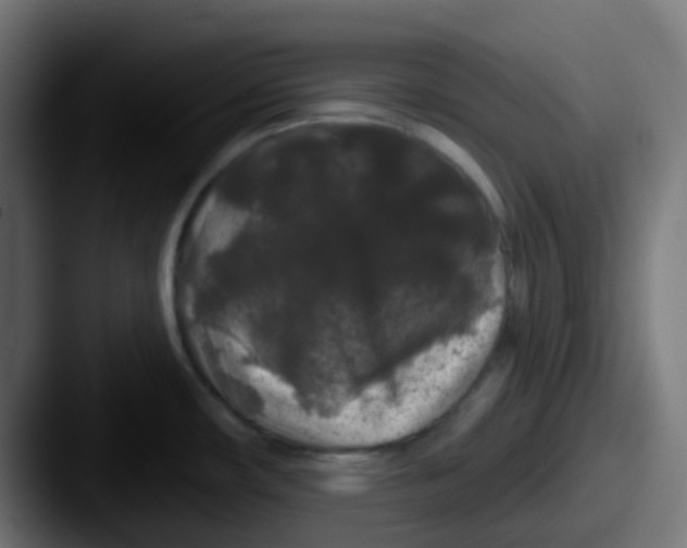 X0000087611482200705181246