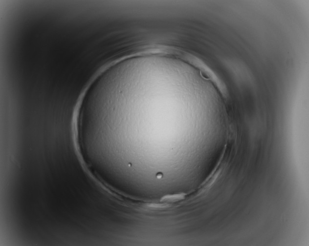 X0000087611483200705181246
