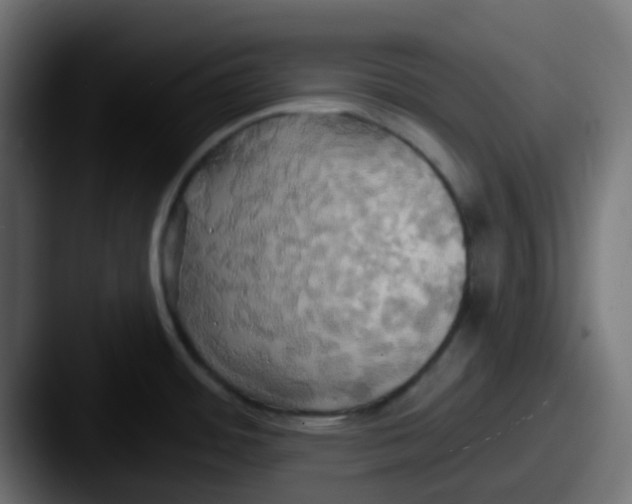 X0000087611484200705181246
