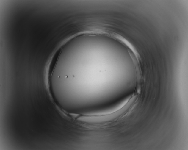X0000087611485200705181246