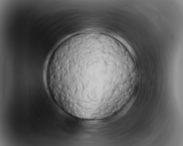 X0000087611486200705181246
