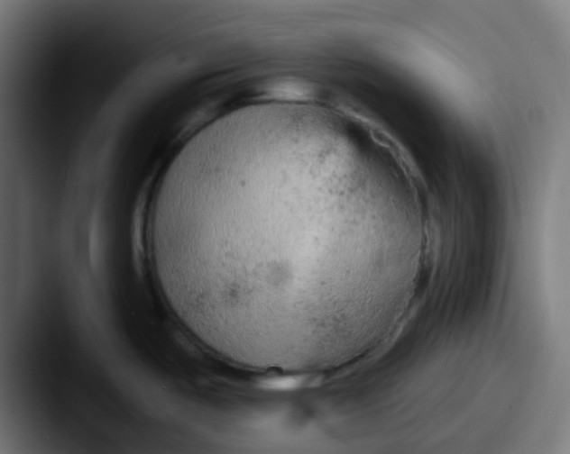 X0000087611487200705181246