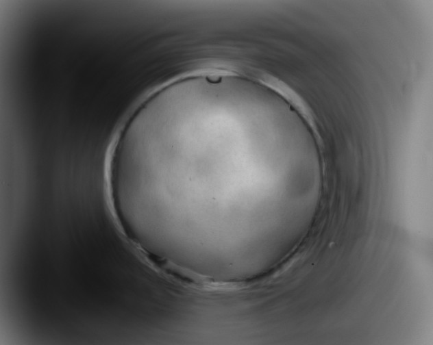 X0000087611488200705181246