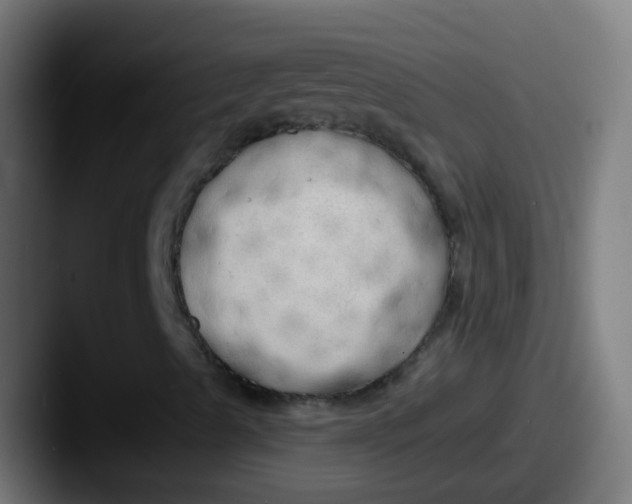 X0000087611489200705181245