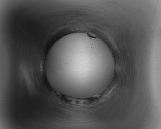 X0000087611490200705181245