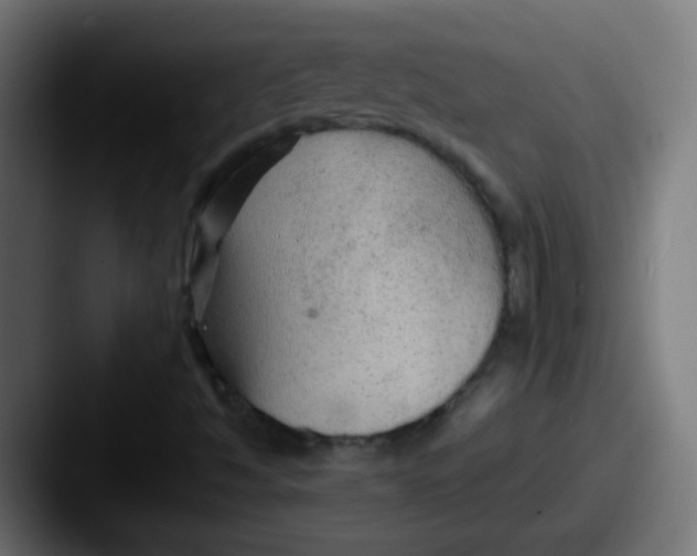 X0000087611494200705181246