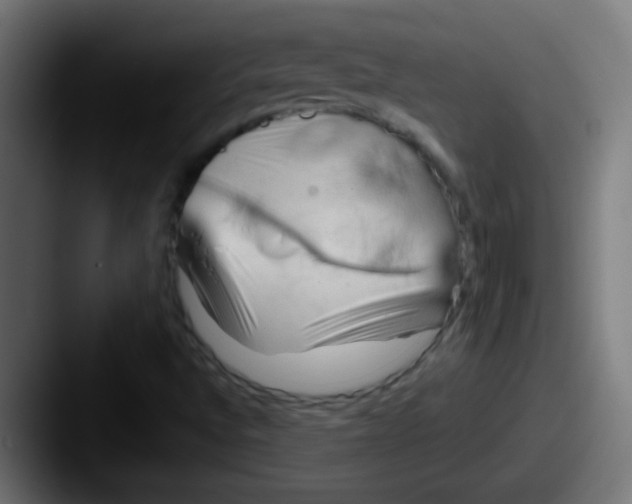 X0000087611496200705181246