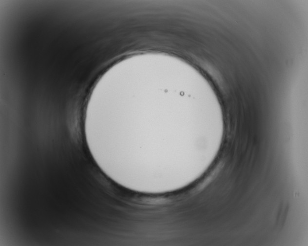 X0000087611498200705181246
