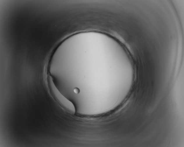 X0000087611500200705181246