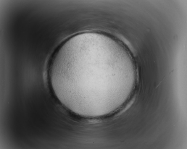 X0000087611501200705181246