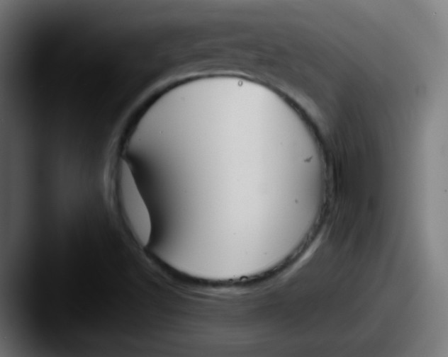 X0000087611502200705181246