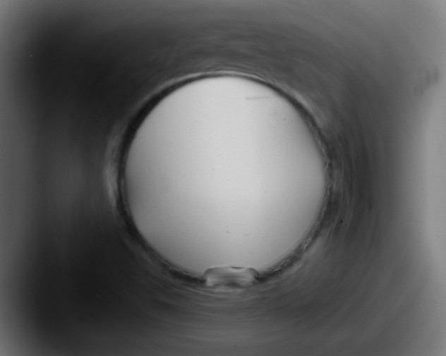 X0000087611503200705181246