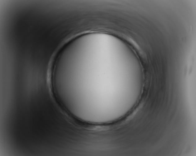 X0000087611506200705181246
