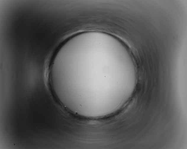 X0000087611507200705181246