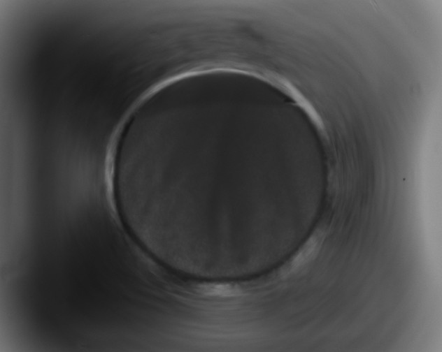 X0000087611508200705181246