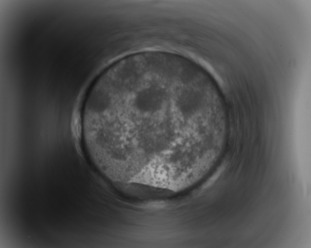 X0000087611509200705181246