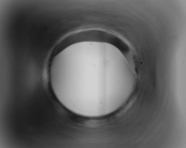 X0000087611510200705181246