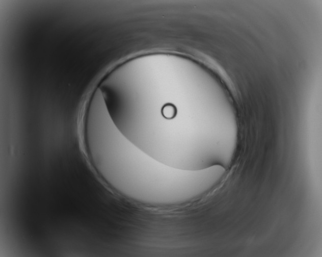 X0000087611512200705181246