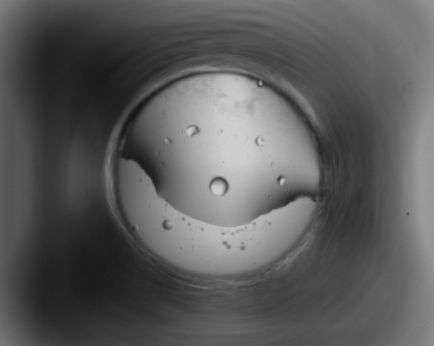 X0000087611514200705181246